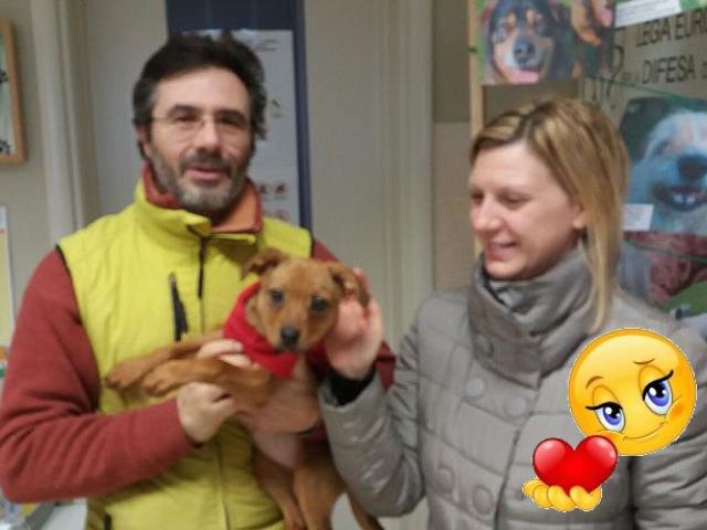 Buona vita cucciolo! 